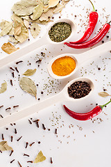 Image showing red peppers and other kind of spices in spoons