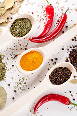 Image showing red peppers and other kind of spices in spoons