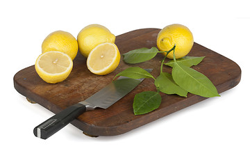 Image showing Fresh lemon slices arranged on oblong plate