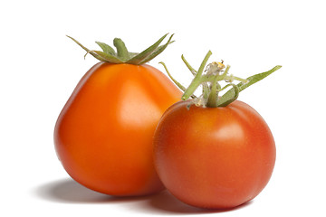 Image showing Two ripe tomatoes isolated on white background