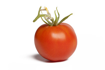 Image showing fresh tomato with shadow isolated on white