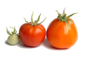 Image showing Two tomatos isolated on white