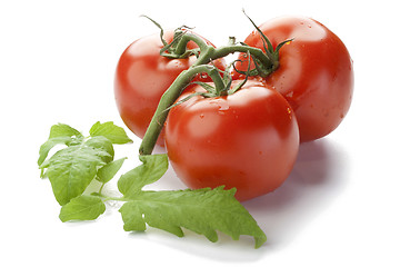 Image showing fresh tomato with shadow isolated on white