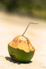 Image showing Coconut Water Drink