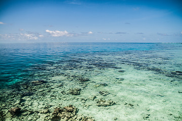 Image showing Tropical sea water in Maldives