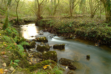 Image showing course of a stream