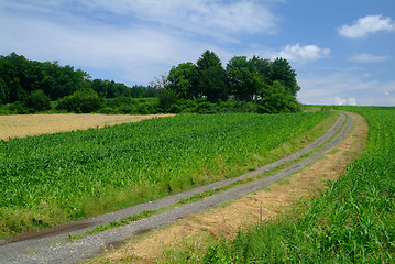 Image showing field cart road