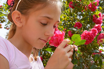 Image showing The girl with rose