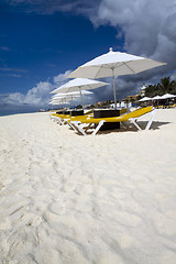 Image showing Beach Lounge with Umbrellas