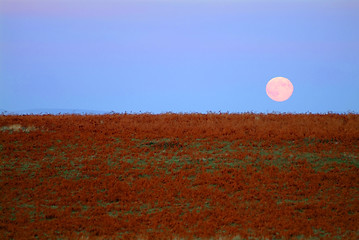 Image showing moon rising