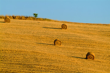 Image showing straw bale