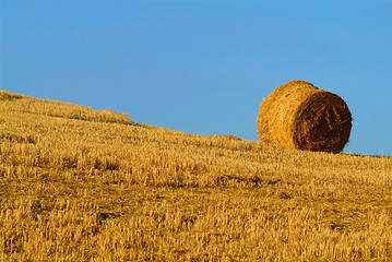 Image showing straw bale