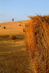 Image showing straw bale