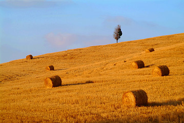 Image showing straw bale