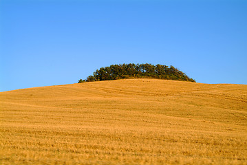 Image showing tuscany