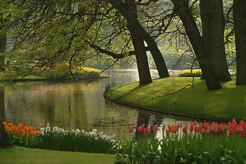 Image showing tulips and sea