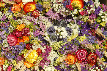 Image showing dried flowers