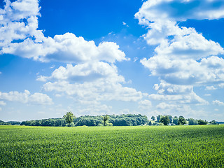 Image showing blue sky green meadow