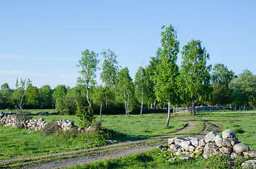 Image showing Green rural landscape