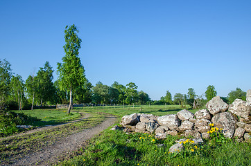 Image showing Idyllic rural landscape