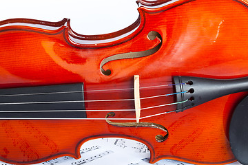 Image showing Violin