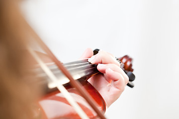 Image showing Violin