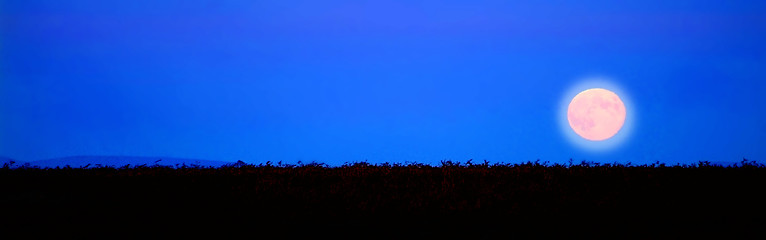 Image showing  moon rising