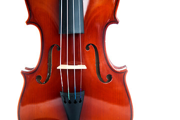 Image showing Violin