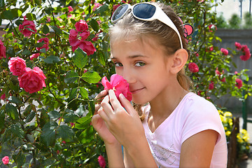 Image showing The girl with rose