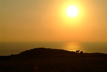 Image showing sunset at coast