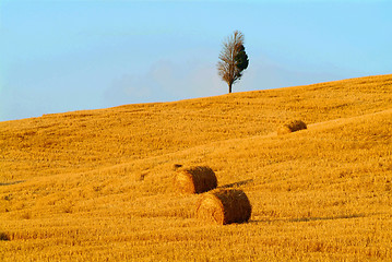 Image showing straw bale