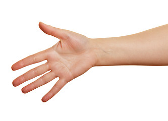 Image showing woman's  open palm on a white background