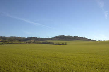 Image showing Farmland