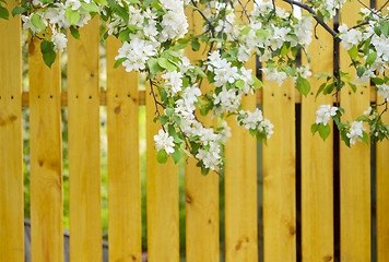 Image showing wooden fence