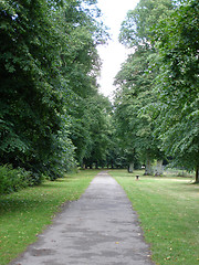 Image showing View of a park
