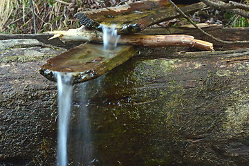 Image showing archaic spring with wooden channel