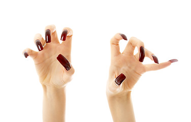 Image showing aggressive hands with long nails