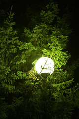 Image showing Street lamp.