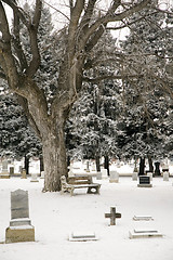 Image showing Cemetery bench