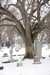 Image showing Cemetery in winter