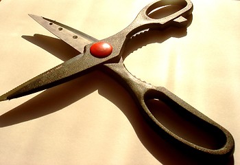 Image showing Scissors