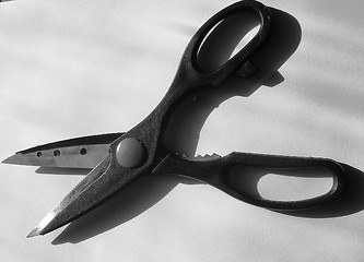 Image showing Scissors