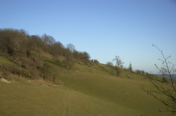 Image showing Green valley