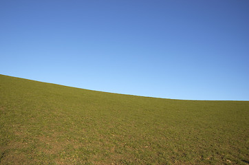 Image showing grazing land and blue sky