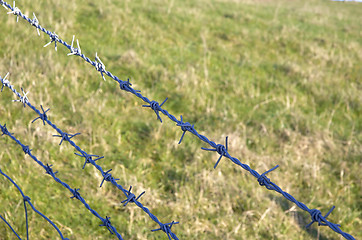 Image showing Barbed wire