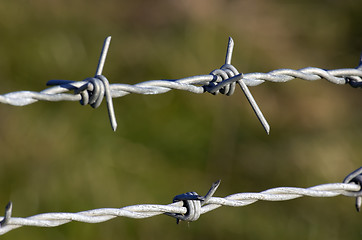 Image showing Barbed wire