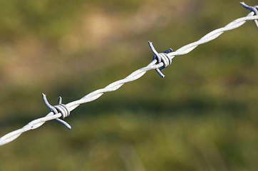 Image showing Barbed wire