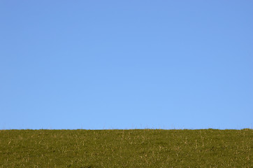 Image showing grazing land and blue sky