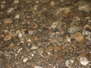 Image showing Gravel