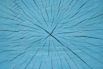 Image showing Growth rings and cracks